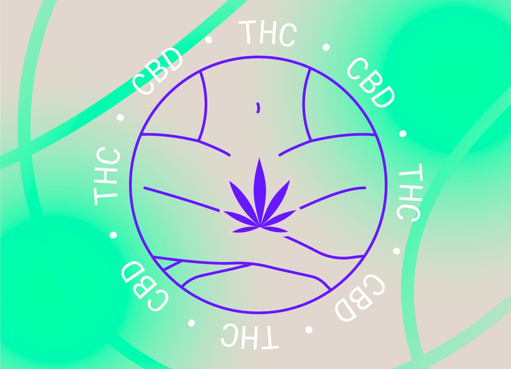 Cannabis? In your vagina? All about THC & CBD suppositories