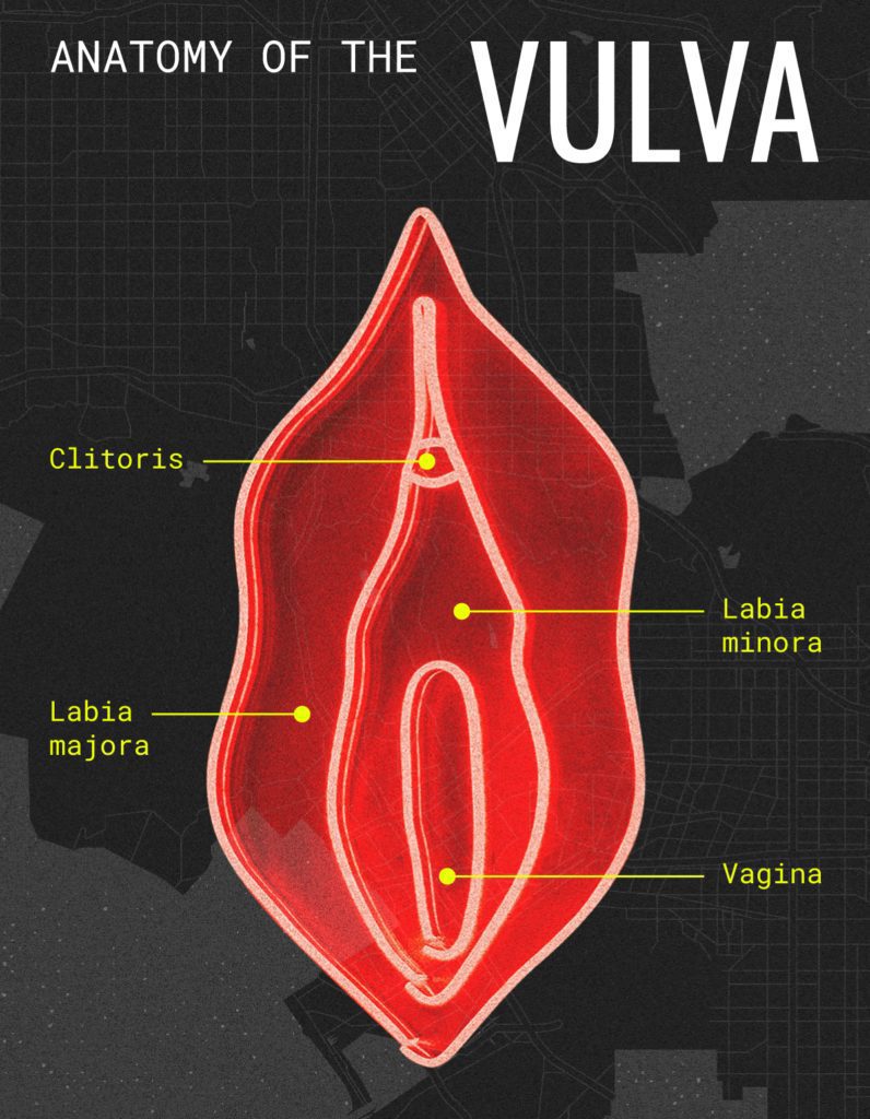 Reasons for Dark Skin Around Vagina, by Evolve Essential