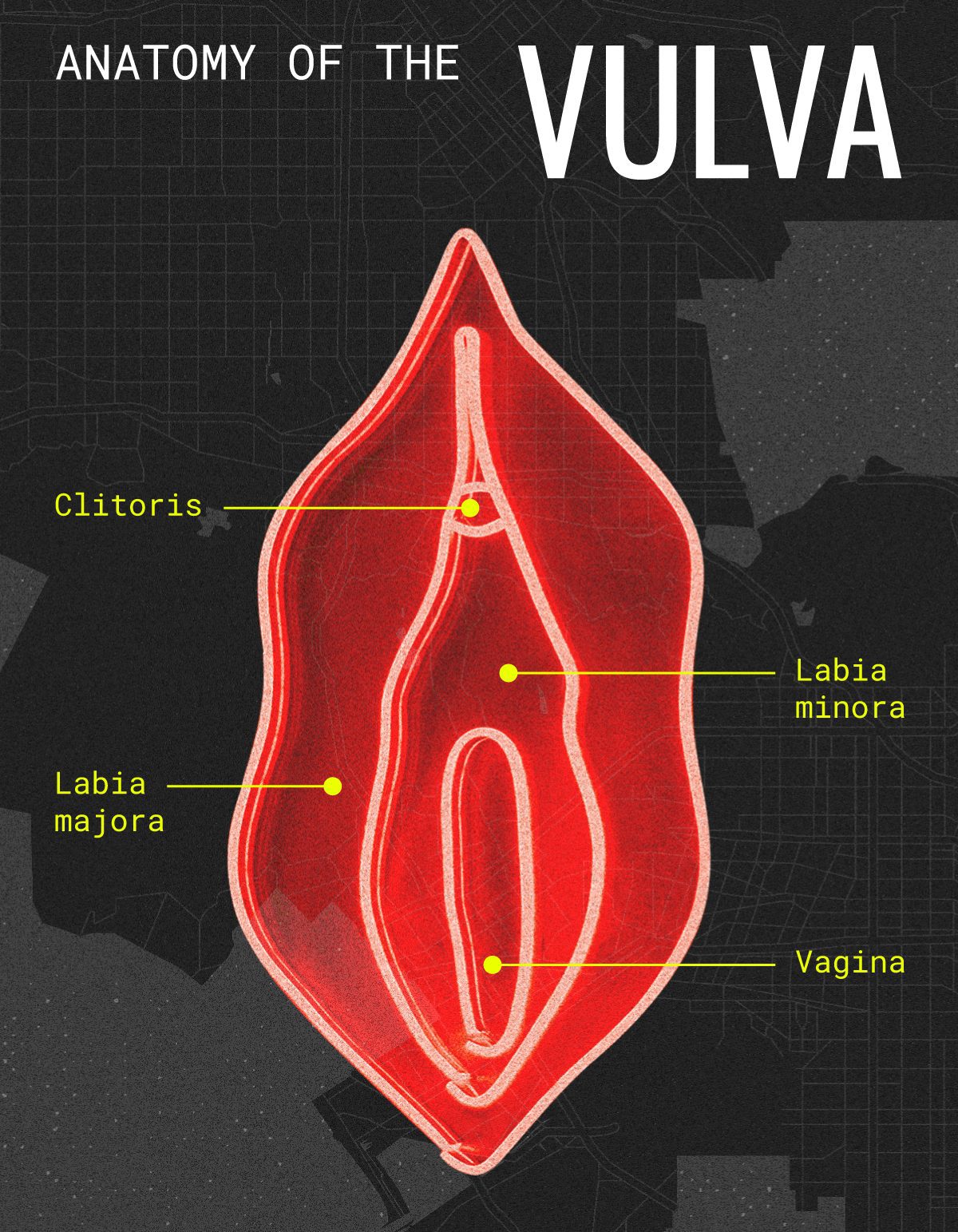 Vulva mapping & why it’s worth trying
